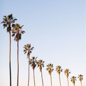 Subside (Daul & Noair Funk Wav Edit)