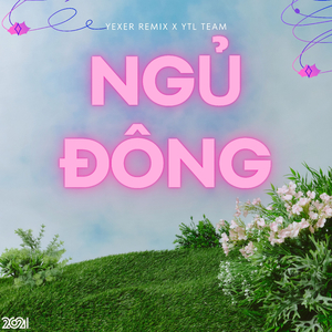 Ngủ Đông (Remix)