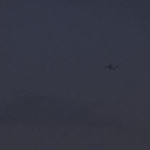 醒着醉（伴奏）