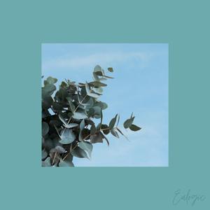 Circle of Reincarnations