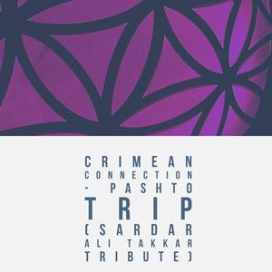 Pashto Trip (feat. Sardar Ali Takkar)