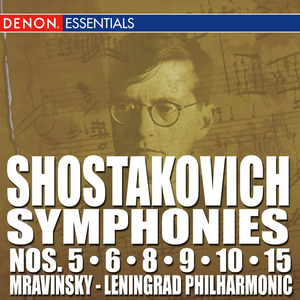 Symphony No. 10 in E Minor, Op. 93: II. Allegro