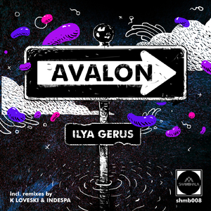 Avalon (Indespa Remix)