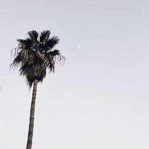 La Câlin（Original Mix）