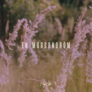 En morgondröm