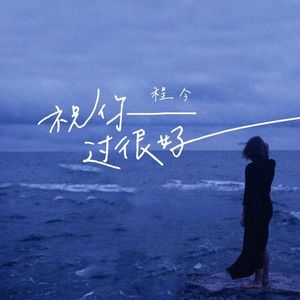 程今 - 祝你过很好 (Crazy Up! Italo Mix)