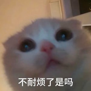 队友别举报我（翻唱）