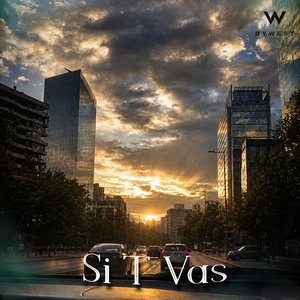 Si T Vas
