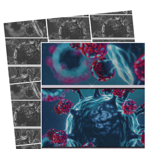 奥密克戎不再神秘
