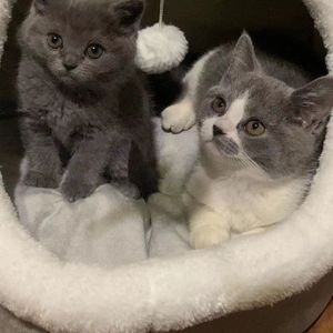 想你就写信（片段）