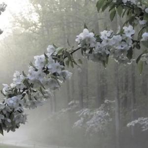 សូមកុំធ្វើឳ្យអូនខកចិត្ត