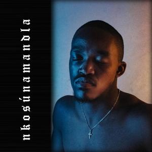 Nkosunamandla (feat. Siphe & LD The Network)