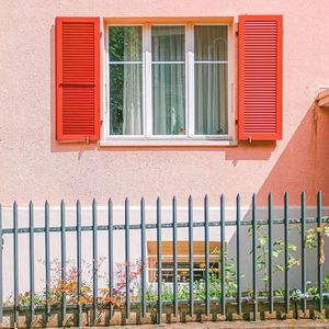 金蛇狂舞（片段）