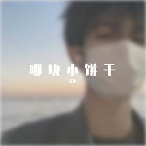 明月天涯-苏晟