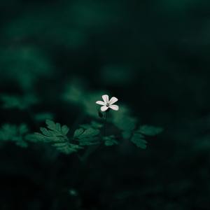 明天会更好