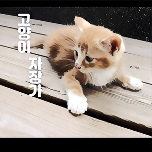 고양이 골골송 고양이 자장가(골골송과 같은 주파수 소리20Hz~150Hz)