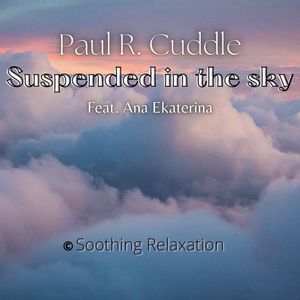 The Sun of the Future