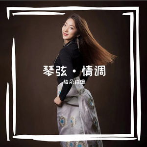 琴弦·情调（剪辑版）