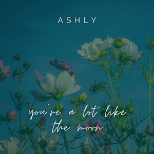 you're a lot like the moon (ashly)