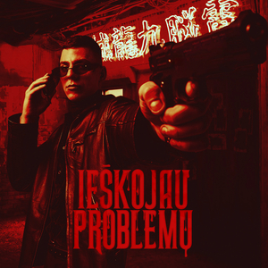 Ieškojau Problemų