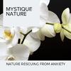 Holly Waves Nature Sound Library - Blissful Lake Insects