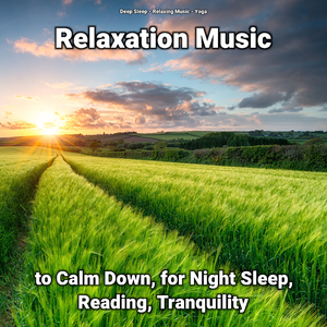 Relaxation Music to Calm Down Part 24