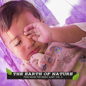 Ambient Ocean and Bird Sound