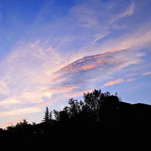 多想留在你身边