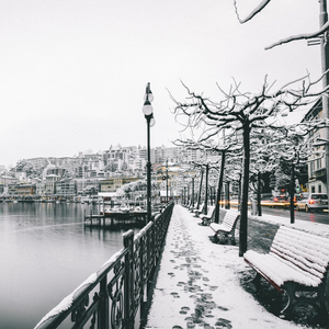 In a Gingerbread House