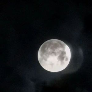 月亮代表不了我的心