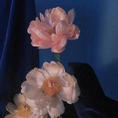 后来的我留在了郑州而你去了上海