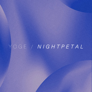 Nightpetal