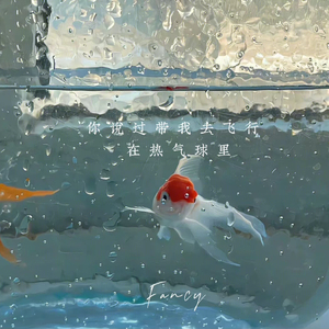 黄淑惠-热气球（刘凡 remix）