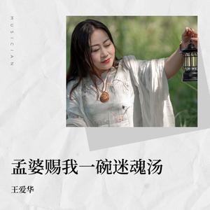 孟婆赐我一碗迷魂汤