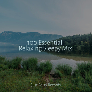 Glimmering Trails in the Night