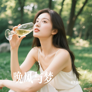 晚风与梦