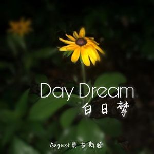 白日梦