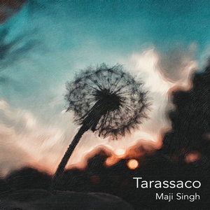 Tarassaco