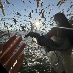 Cry For Mi（说唱热播）