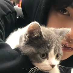 一如既往爱着你