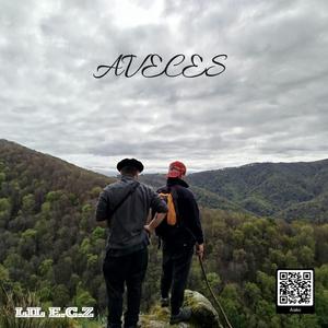 AVECES