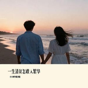一生清贫怎敢入繁华 (Cover Tl)
