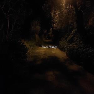 BlaCC Wings