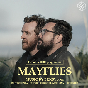 Mayflies