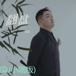 翻盘 (DJ小刚版伴奏)