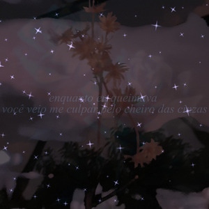 divino (tem sangue no prizma)