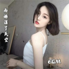 我假装过去不重要缺发现自己办不到 (DJ版)