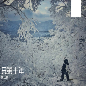 兄弟十年