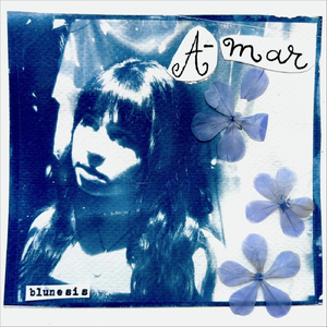 a-mar