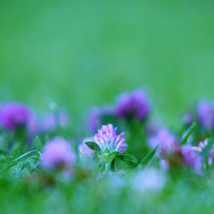 海滨之歌 (唯美纯音乐)